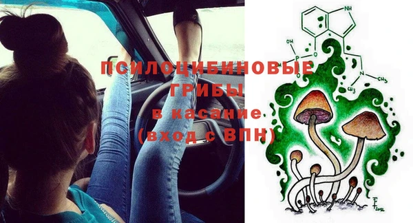 тгк Армянск